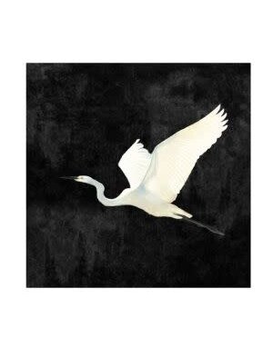 Egret II Gallery Wrap, 40 X 40, Artwork Available for Local Delivery or Pick Up