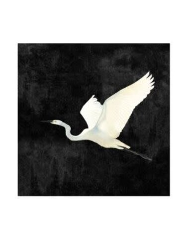 Egret II Gallery Wrap, 40 X 40, Artwork Available for Local Delivery or Pick Up