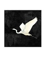 Egret II Gallery Wrap, 40 X 40, Artwork Available for Local Delivery or Pick Up