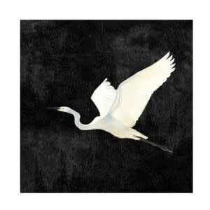 Egret II Gallery Wrap, 40 X 40, Artwork Available for Local Delivery or Pick Up