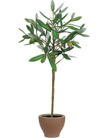 9 x 20 Faux Olive Topiary Tree