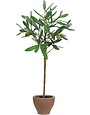 9 x 20 Faux Olive Topiary Tree, Available for Local Pick Up