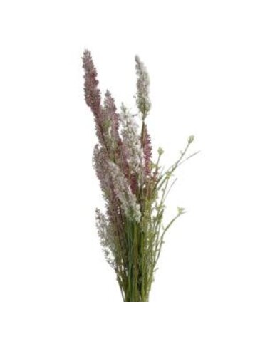 JanMichaels Art & Home Wildflower Spray, 24 in., Ballet
