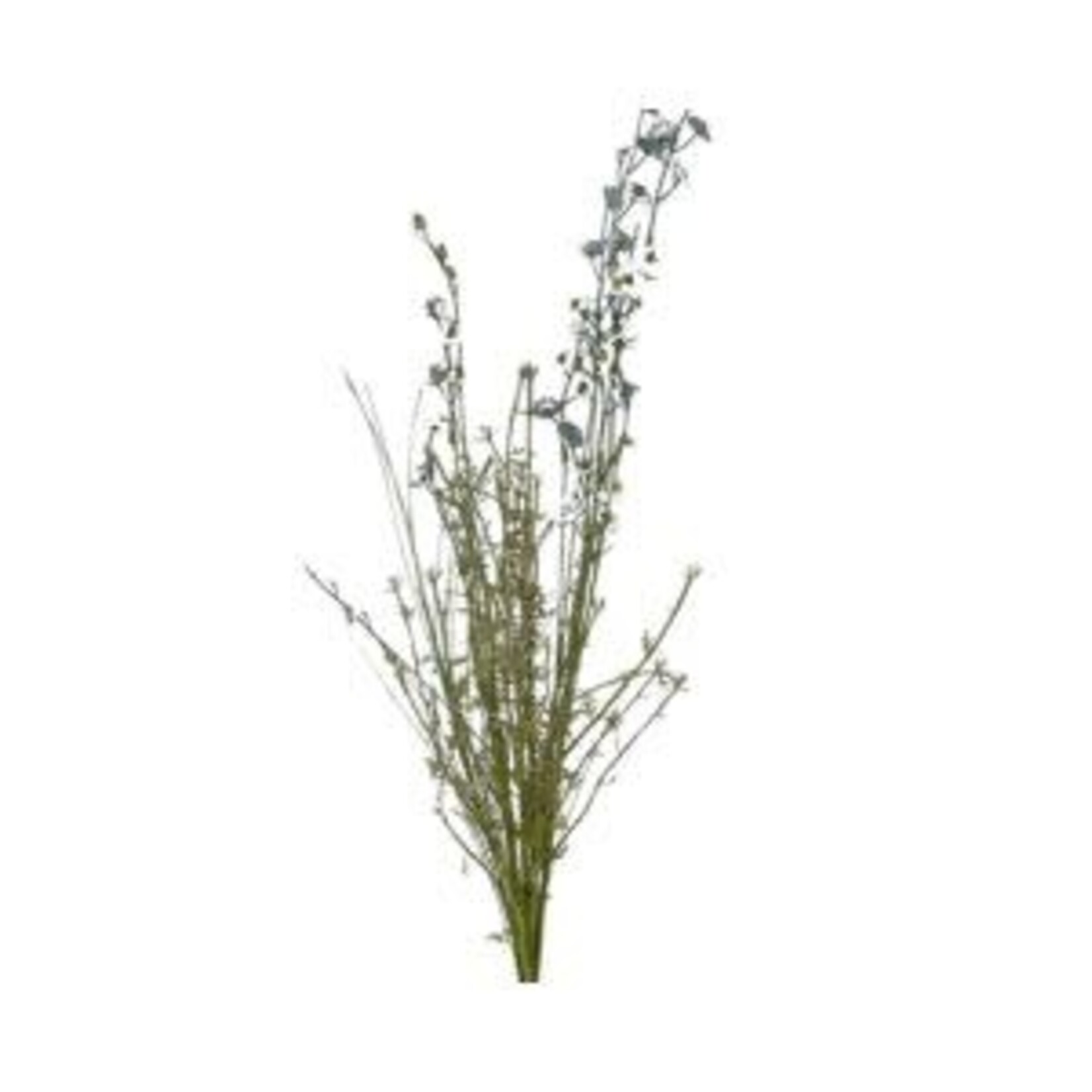 JanMichaels Art & Home Wildflower Spray, 24 in., Carolina