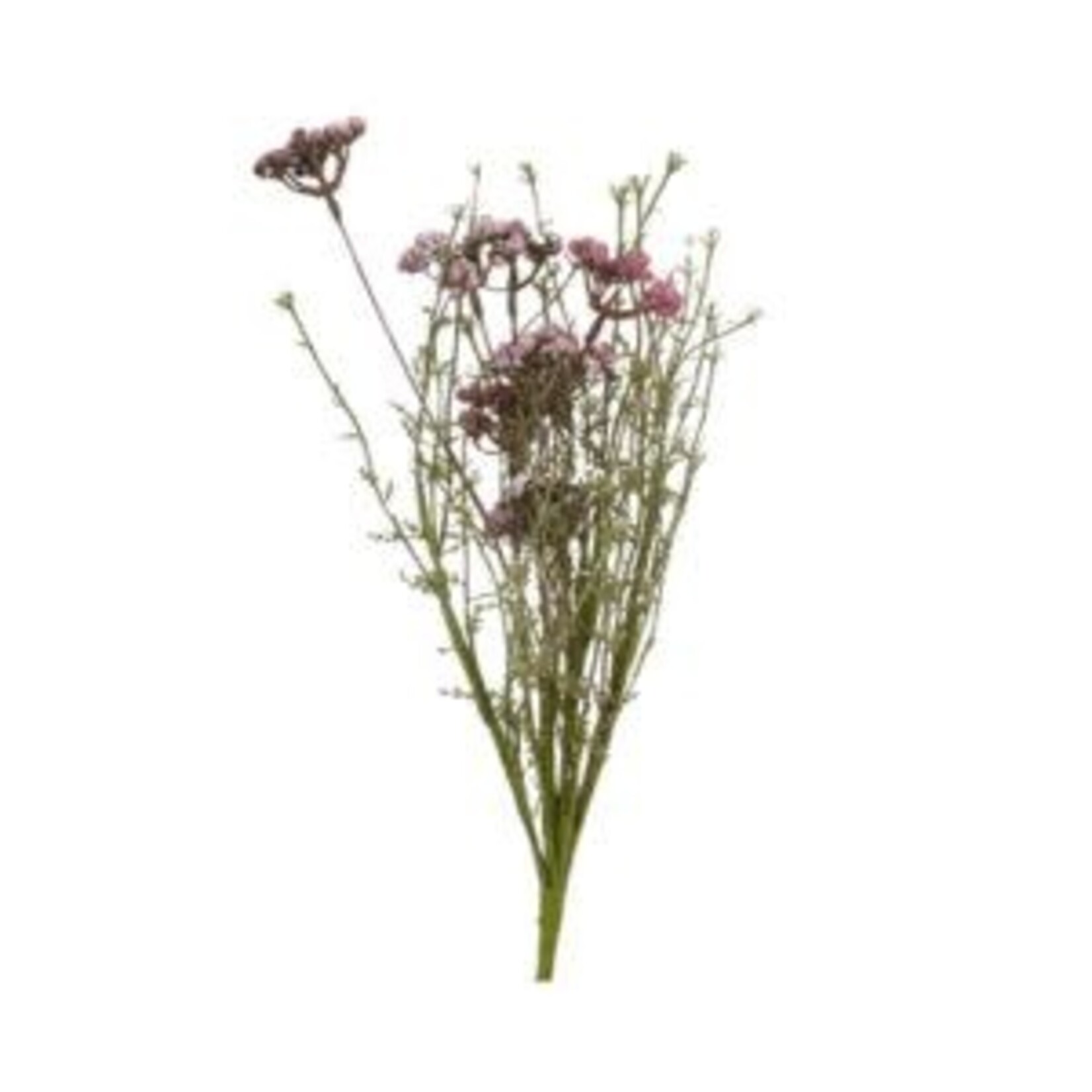 JanMichaels Art & Home Wildflower Spray, 24 in., Thulian