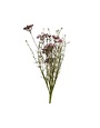 JanMichaels Art & Home Wildflower Spray, 24 in., Thulian