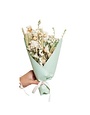 Idlewild Floral Co. Sage Small Field Bouquet, 12 in.