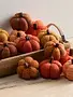 Cozy Knit Pumpkin,  4" Assorted Colors