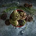 Ragon House Pinecone, Moss & Sequin Bowl Filler