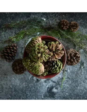 Ragon House Pinecone, Moss & Sequin Bowl Filler