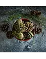 Ragon House Pinecone, Moss & Sequin Bowl Filler