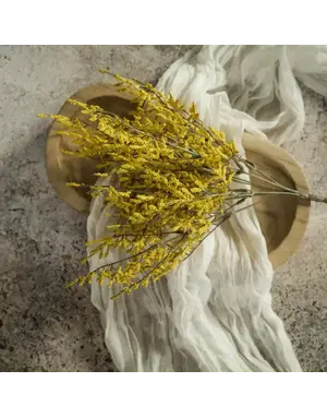 Ragon House Yellow Dance Plant Bush 14.5"