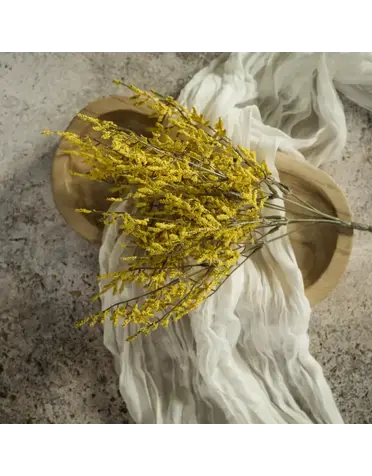Ragon House Yellow Dance Plant Bush 14.5"