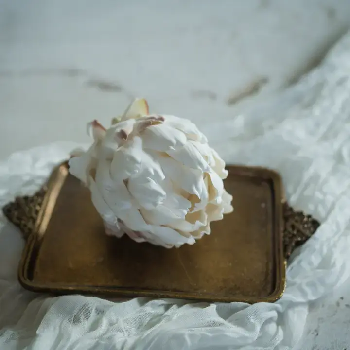 Ragon House Cream Artichoke Head 3.5"
