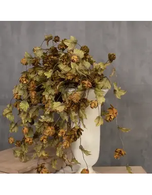 Ragon House Green Hops Stem 39"