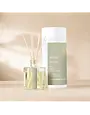 Rockaway Candle Co Rockaway White Birch Reed Diffuser