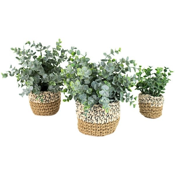 Artificial Eucalyptus Plants in Woven Pot - LARGE