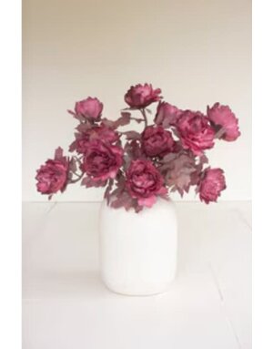 Botanica #3626