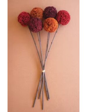 Allium Ball Stem 24" Assorted Colors