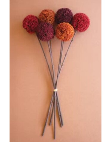Allium Ball Stem 24" Assorted Colors