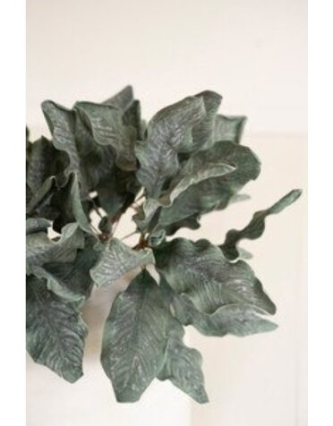 Botanica #3636