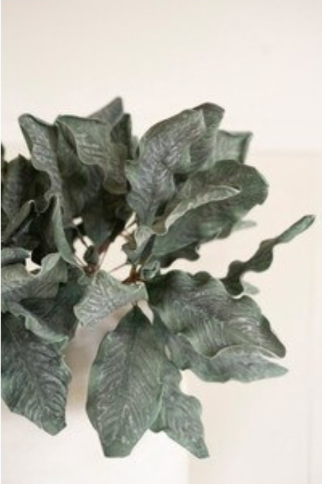 Botanica #3636