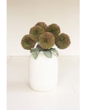 Botanica #3620