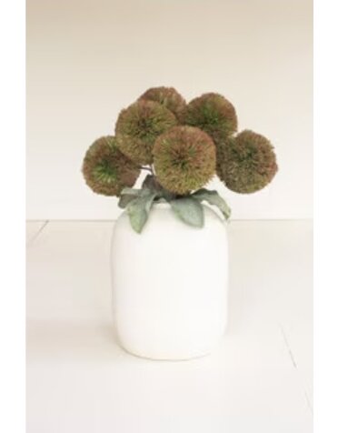 Botanica #3620
