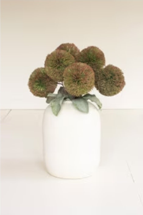 Botanica #3620