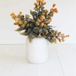 Botanica #2776