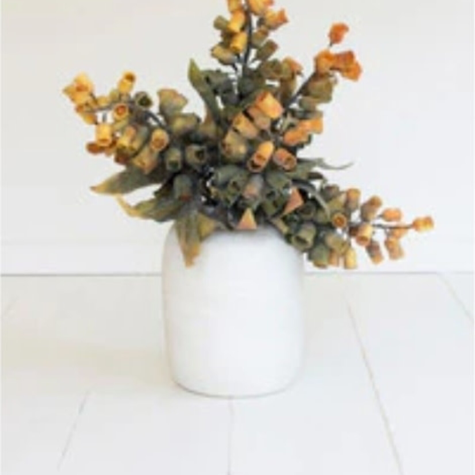Botanica #2776