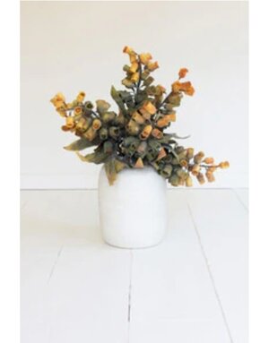 Botanica #2776