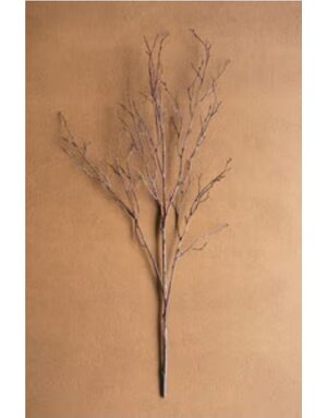 Birch Branch Stem 38" Available for Local Pick Up