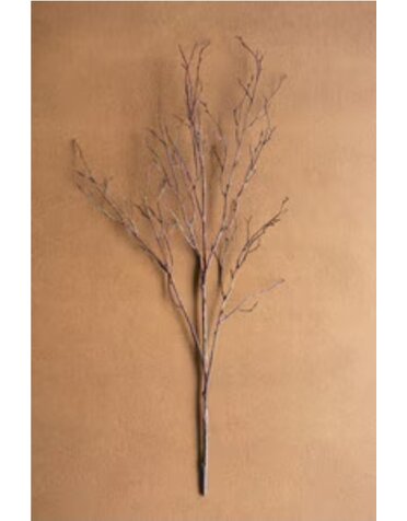 Birch Branch Stem 38" Available for Local Pick Up