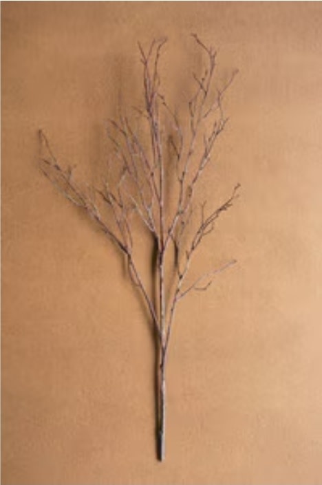 Birch Branch Stem 38" Available for Local Pick Up