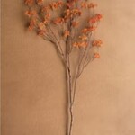 Rice Flower Stem Rust 40"
