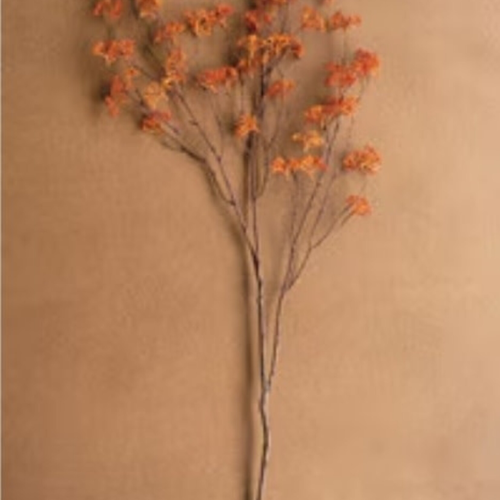 Rice Flower Stem Rust 40"