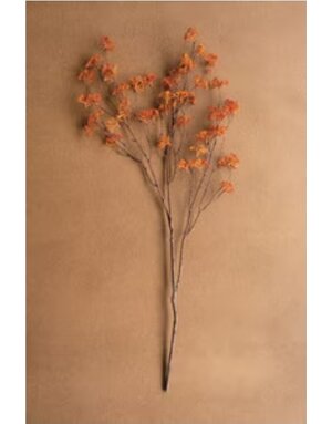 Rice Flower Stem Rust 40" Available for Local Pick Up