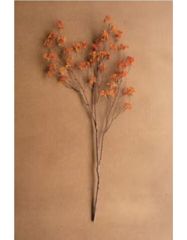 Rice Flower Stem Rust 40" Available for Local Pick Up
