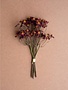 Chamomile Bundle, 6 Stems Burgandy  10"