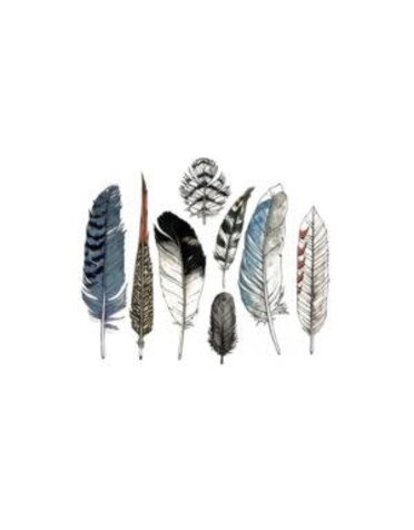 Tattly Watercolor Feather Tattoos, Set of 8