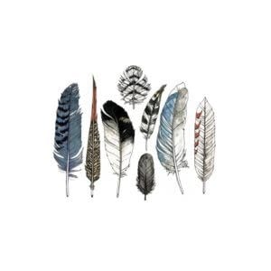 Tattly Watercolor Feather Tattoos, Set of 8