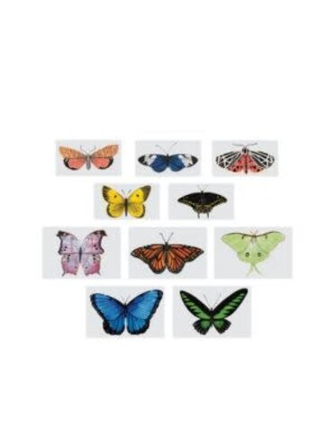Tattly Tiny Butterfly Tattoo Tin, Set of 10
