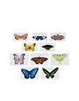 Tattly Tiny Butterfly Tattoo Tin, Set of 10