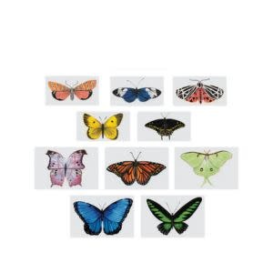 Tattly Tiny Butterfly Tattoo Tin, Set of 10