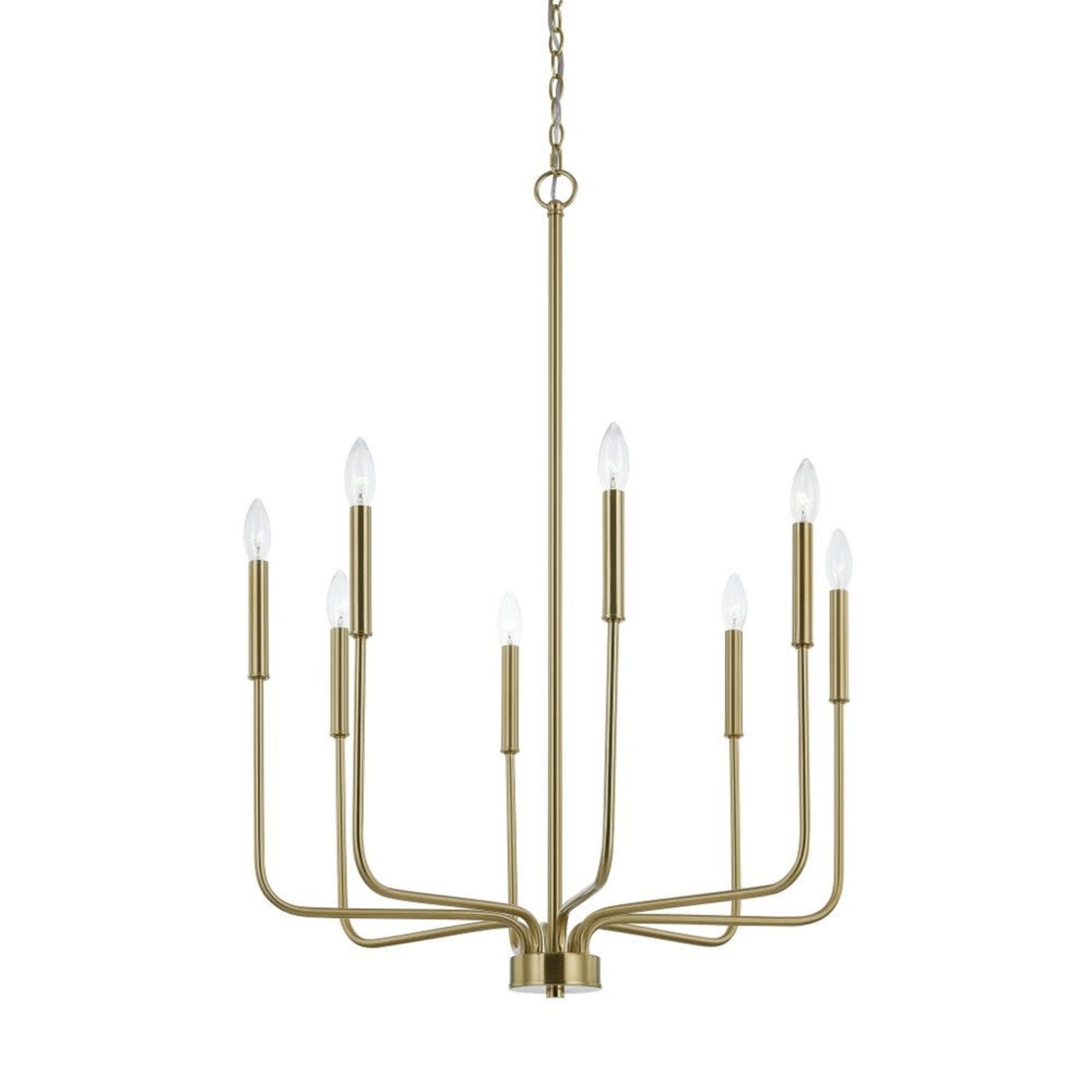 Liz Chandelier, 27x39