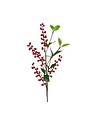 Wild Shrub Christmas Berry Stem with Leaves, Red, 27 in.