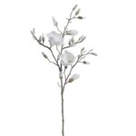 Glittered Magnolia Branch, 40 in.