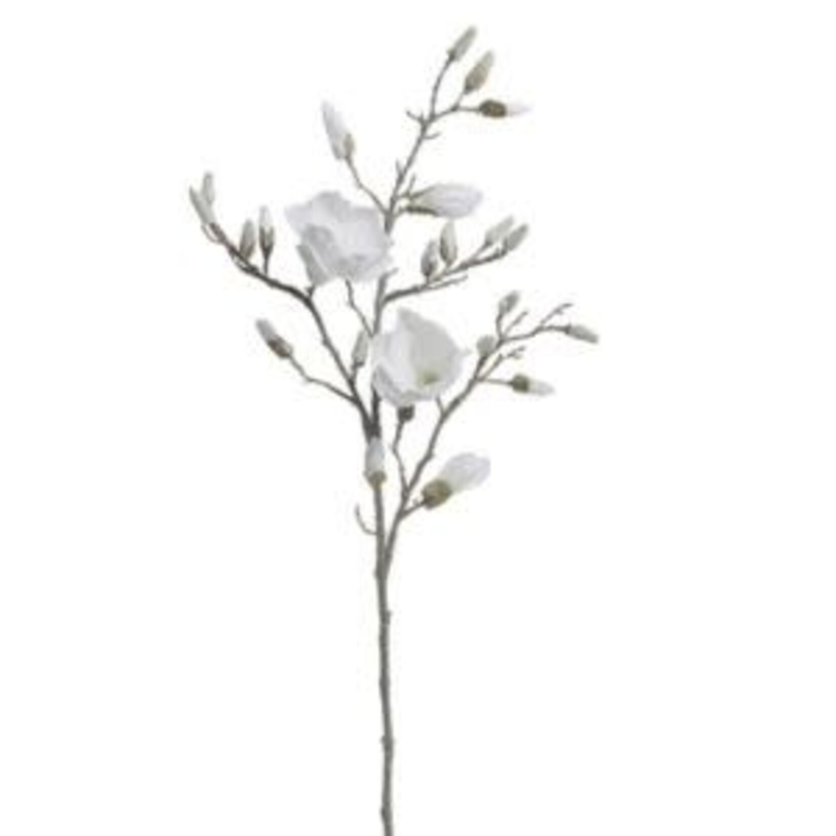 Glittered Magnolia Branch, 40 in.