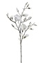 Glittered Magnolia Branch, 40 in.